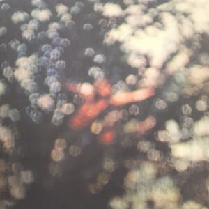 Pink Floyd - Obscured by clouds