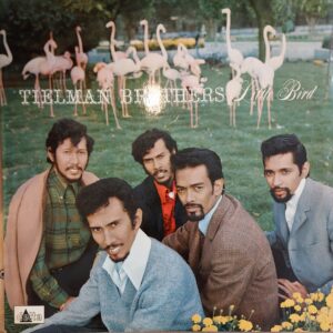 Tielman Brothers - Little bird