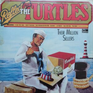 Reflection The Turtles.