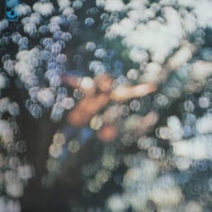 Pink Floyd - Obscured by clouds