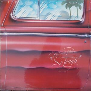 The Beach Boys - Carl and the Passions-So Tough